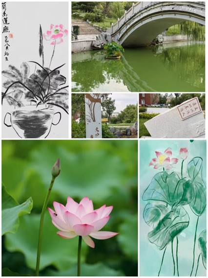 廉洁6